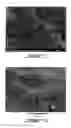 Fig. 06 - Inorganic mesoporous materials with chiral nematic structures and preparation method thereof