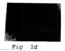 Fig. 05 - THERMOCHROMIC INDICATOR MATERIALS WITH CONTROLLED REVERSIBILITY