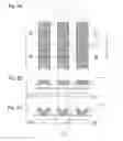 Fig. 09 - Display device and method for manufacturing the same