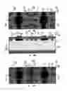 Fig. 28 - ELECTROMAGNETIC RADIATION CONVERTER WITH A BATTERY