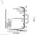 Fig. 04 - Nanotube-based electrodes