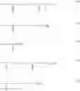 Fig. 11 - Modified polyvinyllactams
