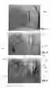 Fig. 02 - BOOK STRUCTURE
