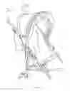 Fig. 04 - Extendable stroller shade