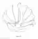 Fig. 25 - Extendable stroller shade