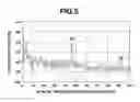 Fig. 06 - Control circuit for vibration-type actuator