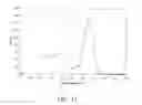 Fig. 16 - X-Ray and Gamma Ray Detector Readout Sytem