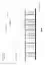 Fig. 49 - Projected artificial magnetic mirror