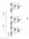 Fig. 71 - Projected artificial magnetic mirror