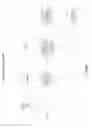 Fig. 09 - Multimedia alerting