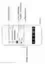 Fig. 20 - Multimedia alerting