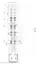 Fig. 16 - Frequency-selective dipole antennas