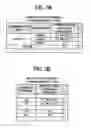 Fig. 06 - Electronic device and recording medium