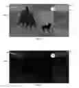Fig. 03 - Interweaving of IR and visible images