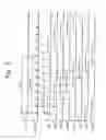 Fig. 06 - Method of driving backlight assembly and display apparatus having the same