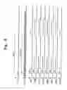 Fig. 08 - Method of driving backlight assembly and display apparatus having the same