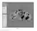 Fig. 09 - Method and system for providing three dimensional stereo image