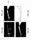 Fig. 08 - Creation of depth maps from images