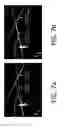 Fig. 09 - Creation of depth maps from images