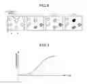 Fig. 07 - Predetermined site luminescence measuring method, predetermined site luminescence measuring apparatus, expression amount measuring method, and measuring apparatus