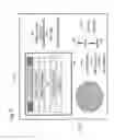 Fig. 06 - Automatic file transmission system