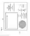 Fig. 07 - Automatic file transmission system