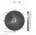 Fig. 07 - Liquid crystal display device and method of manufacturing the same