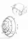 Fig. 10 - Rear projection dome