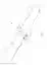 Fig. 02 - ILLUMINATION DEVICE