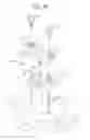 Fig. 29 - Vehicle headlamp