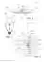 Fig. 02 - LIGHT EMITTING DEVICE CREATING DECORATIVE LIGHT EFFECTS IN A LUMINAIRE