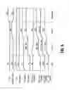 Fig. 09 - Select gate programming in a memory device