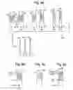 Fig. 08 - Saw-shaped multi-pulse programming for program noise reduction in memory