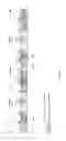 Fig. 12 - Sending feedback for multiple downlink carriers