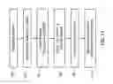 Fig. 12 - Directional discrete wavelet transform (DDWT) for video compression applications