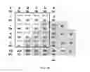 Fig. 16 - Methods and systems for intra prediction
