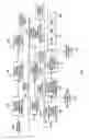 Fig. 05 - Codeword restriction for high performance video coding
