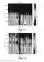 Fig. 07 - Stability improvements in hearing aids