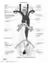 Fig. 03 - Method and apparatus for detecting a position of a pair of ear phones at a user
