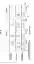 Fig. 14 - Face clustering device, face clustering method, and program