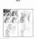 Fig. 03 - IMAGE COMPARISON APPARATUS, IMAGE COMPARISON METHOD, AND PROGRAM