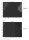 Fig. 09 - Spectral unmixing for visualization of samples