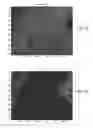 Fig. 10 - Spectral unmixing for visualization of samples