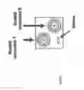 Fig. 04 - Small form factor pluggable unit