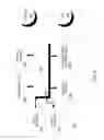Fig. 12 - Automated story generation