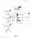 Fig. 03 - CAPTURING PRESENTATIONS IN ONLINE CONFERENCES