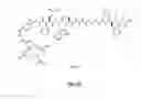 Fig. 79 - GASTRIN RELEASING PEPTIDE COMPOUNDS