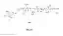 Fig. 89 - GASTRIN RELEASING PEPTIDE COMPOUNDS