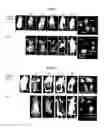 Fig. 06 - RGD-containing peptidomimetics and uses thereof