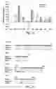 Fig. 22 - Antibodies against CXCR4 and methods of use thereof